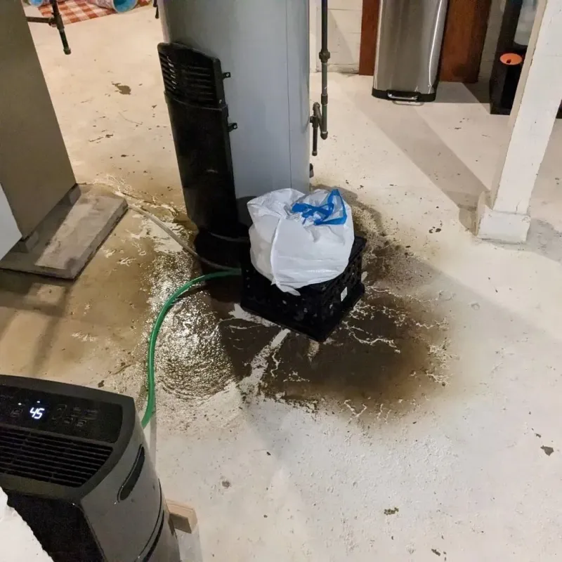 Sewage Backup Cleanup Service in Boron, CA